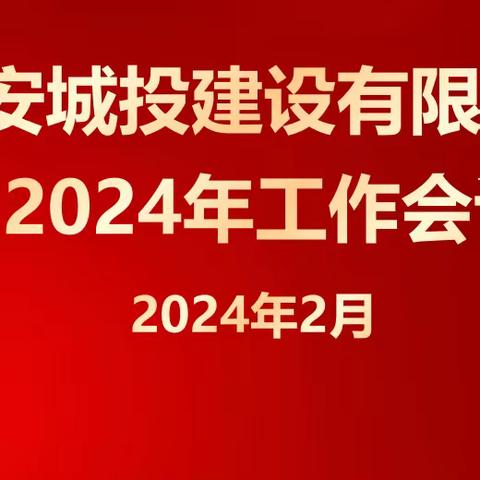 聚焦主业求突破 赋能发展强引擎 以高质量项目建设绘就公司发展新图景