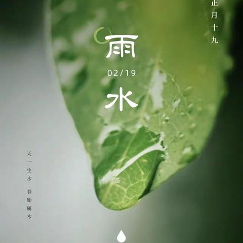 春雨至，万物生——益民顺德幼儿园二十四节气之雨水