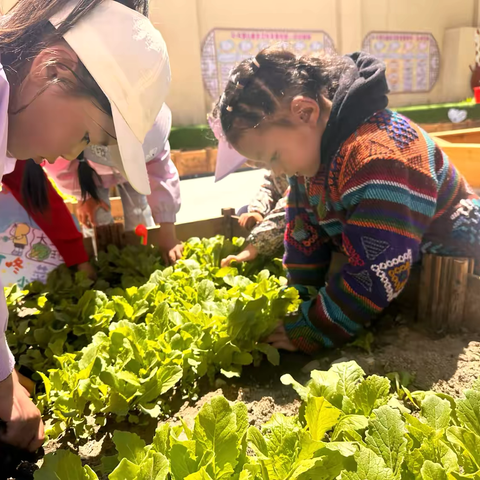 时光荏苒，快乐童行——2024年春季学期回顾