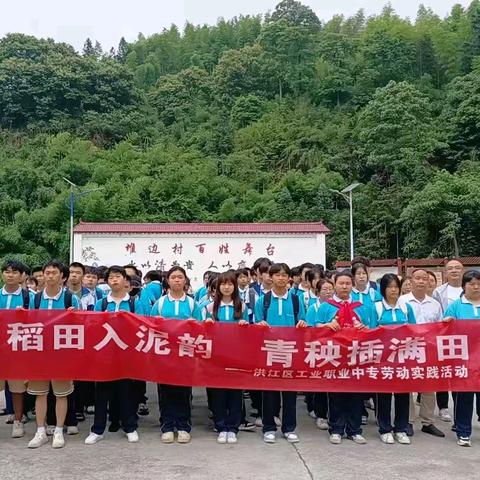 校长喊你来插秧：﻿田间课堂悟农耕，青秧插满润青春