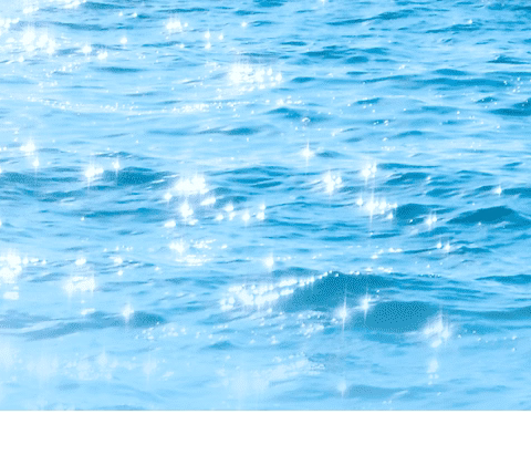 “收心向学，‘至’力成长”——西大街至诚小学秋季开学收心指南