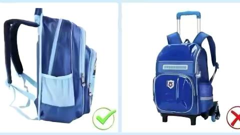 “至诚萌新，逐梦启航”——西大街至诚小学一年级秋季入学准备