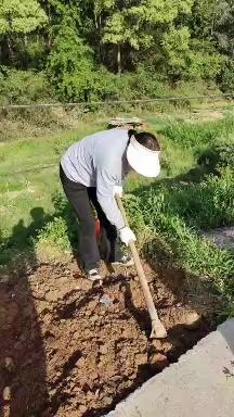 不负春光  播种希望——万福小学一（1）班春种记实