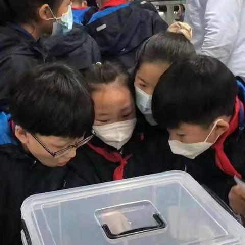 保定市联西教育集团《博士课堂》研学实践基地揭牌暨首期研学活动！打造“小学—高校”一体化创新人才培养！