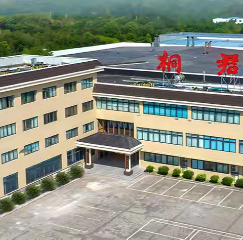 匠心不辍，解码桐君阁非遗技艺的现代生命力