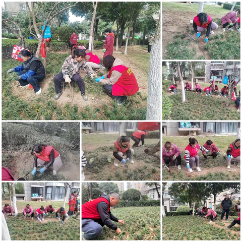 【红色等驾坡】激活闲置空间，共建绿色家园—暖山社区开展植树节活动