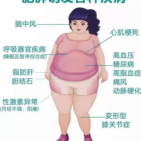 伊犁州中医医院治未病科开展体重管理门诊