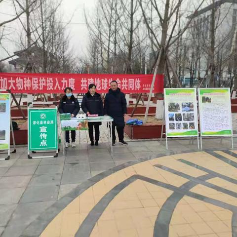 淳化县林业局开展第十二届野生动植物日宣传活动