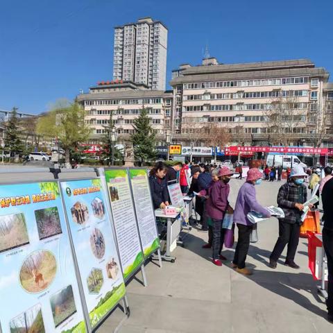 守护绿色瑰宝，共绘生态画卷——淳化县林业局开展第三十三届“科技之春”集体宣传活动