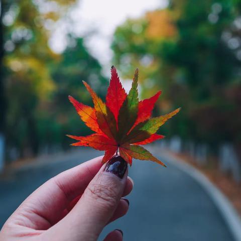 给初三学子的心理贴士