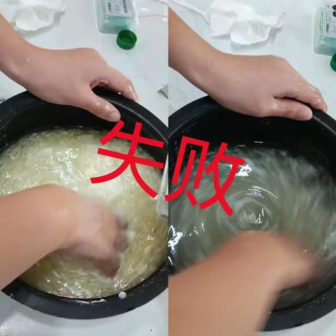 暑假家庭实验报告 ——做凉粉和养乌龟 王晨曦