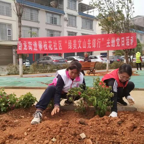 用好“红色”力量  共建绿美家园