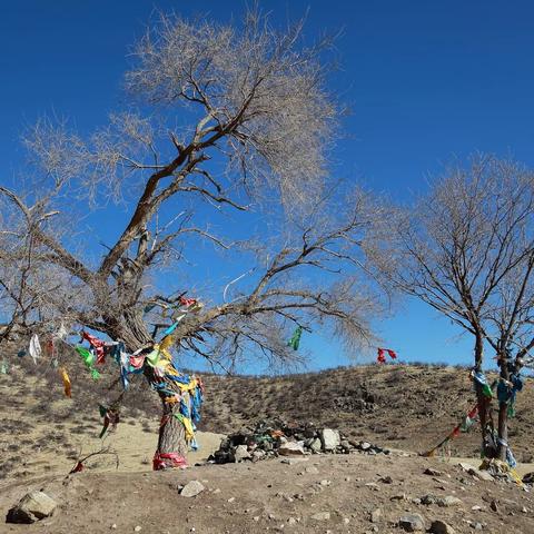 走进阿力木图山遗址