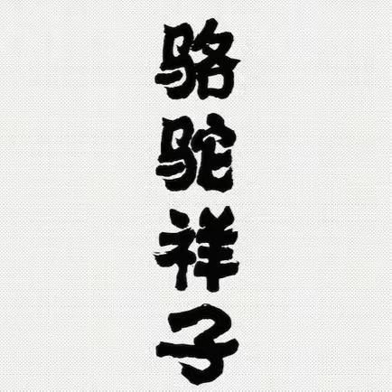 《骆驼祥子》《海底两万里》读书笔记二合一