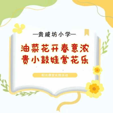 油菜花开春意浓  贵小鼓娃赏花乐