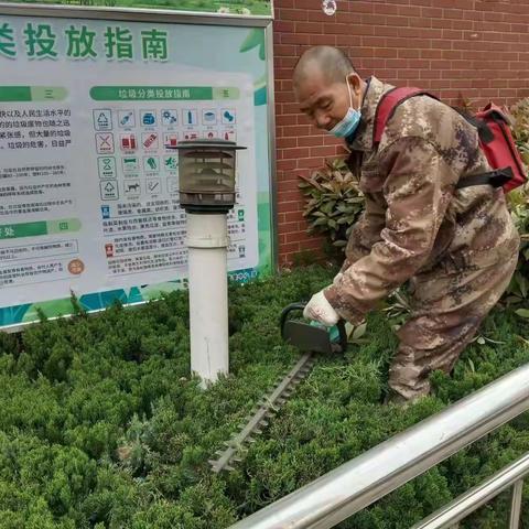 【东城区天宝路街道办事处新天下社区扎实推进人居环境整治工作