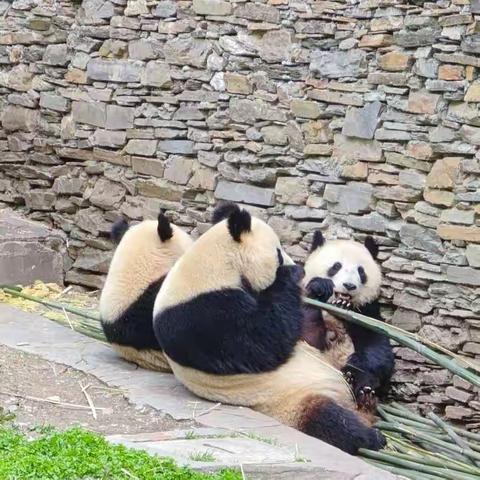 告诉你一个秘密，我是这样的小朋友