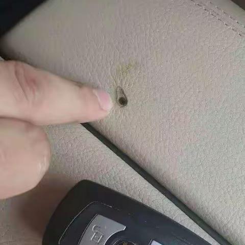 常州奢侈品包包清洗修复翻新一条龙