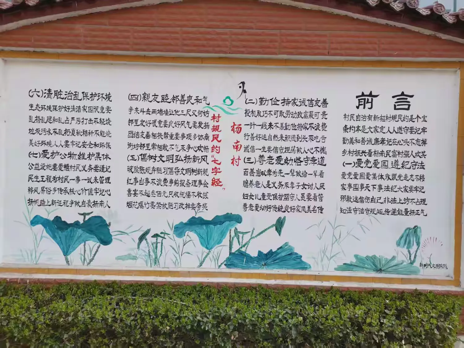 简篇-白云湖街道麻怀河:泥土里长出的乡村振兴领路人