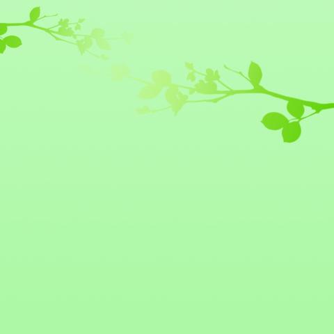 一个执行者的醒悟