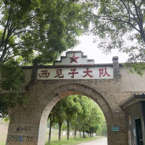 扎根基层建设农业强国