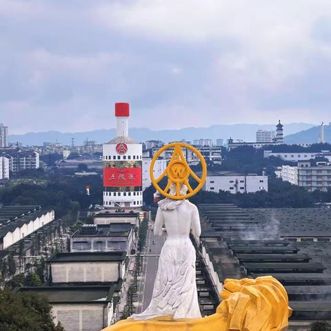 寻“五粮”之魅，探“酿酒”之秘