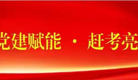 “党建赋能·赶考亮卷”担当卷 马寨小学积极推进“精准教学云平台”项目