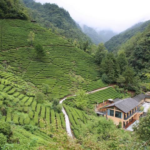 秋访汉滨民宿——听茶山居