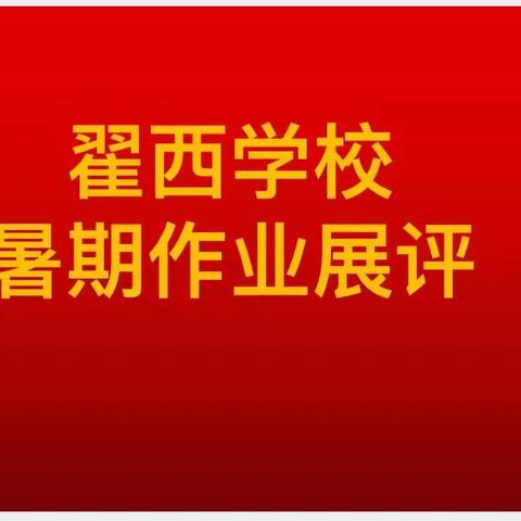 不负韶华，“暑”我精彩——翟西学校暑期学生优秀作业展评