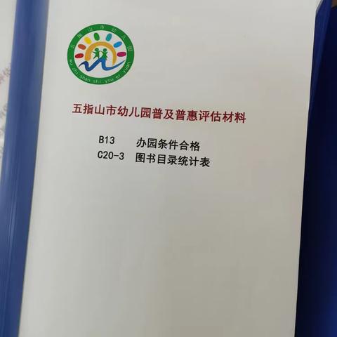 C20图书 玩具