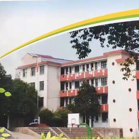 大安乡中心小学2024年暑假致家长的一封公开信