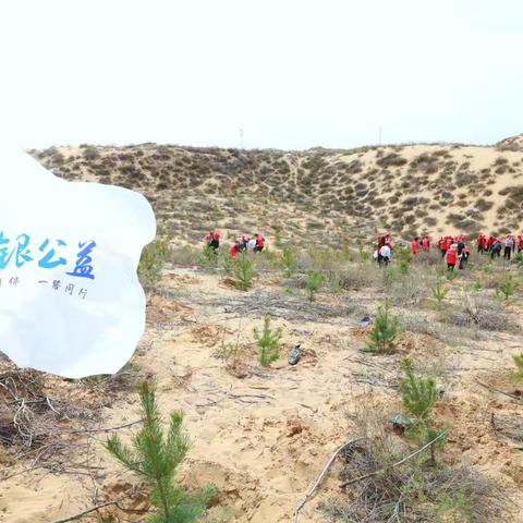 青年向善 农情相伴||榆林分行各级团组织开展青年志愿服务活动