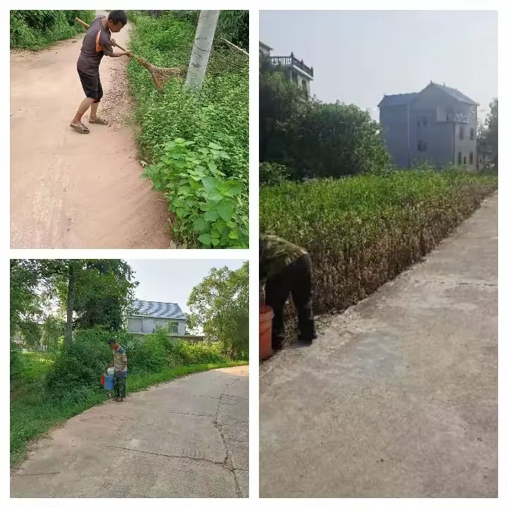 简篇-【大抓基层年】弋阳县南岩街道旗山村“党建+好商量”——齐心协力,提升旗山环境卫生质量