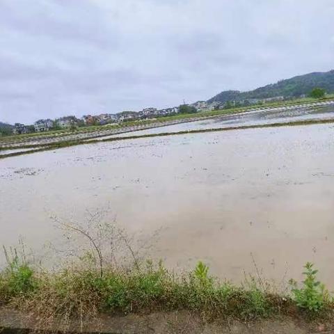 协商解决高速公路扩建带来的相关问题