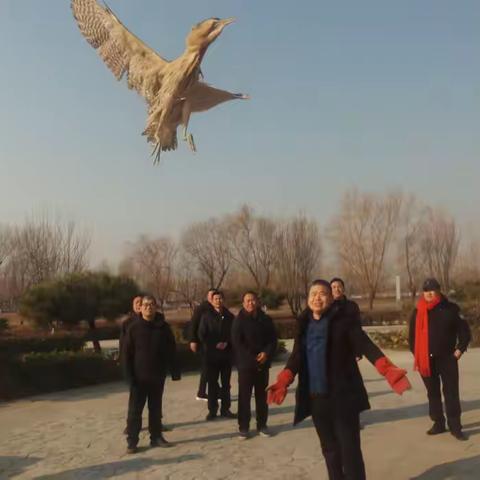 兰考县加强野外监测巡护，确保候鸟安全越冬