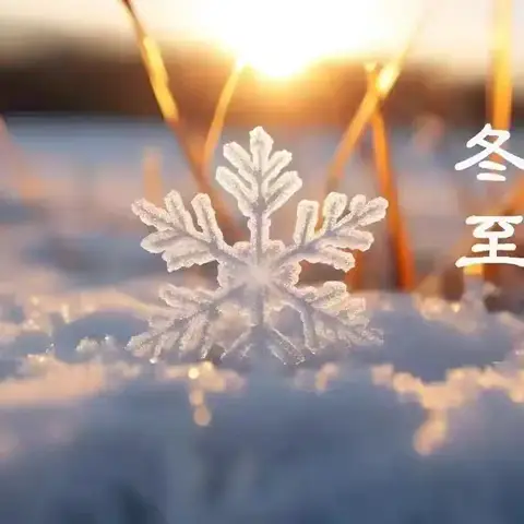 饺香岳麓，冬至励志行