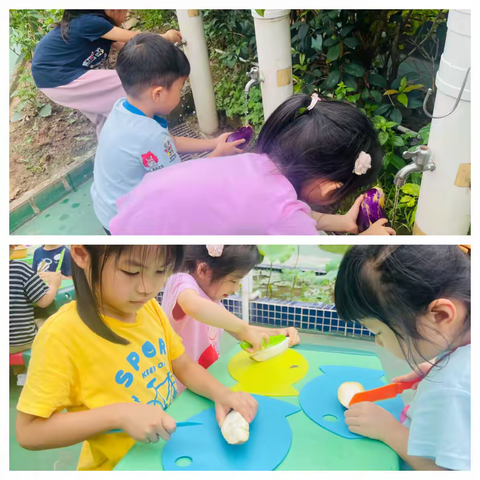 悦享劳动，品润童心——芳村幼儿园劳动月活动