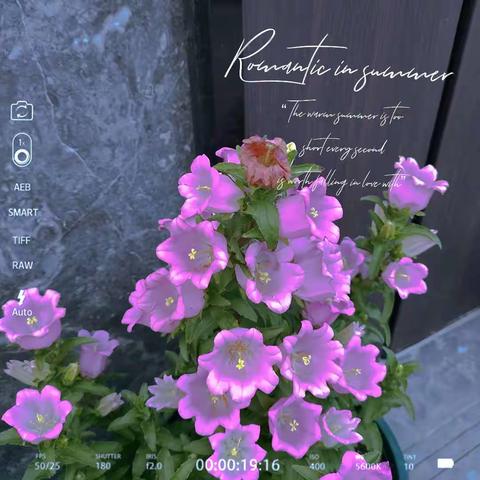 以“劳”育德，以“劳”育美——神农架林区实验初级中学——701——曹秋韵