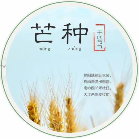 魏寨街道白庙幼儿园芒种主题活动