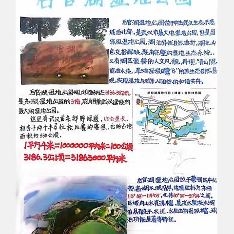 【我把湿地描给你赏——数学绘本】