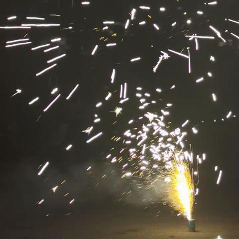 我们家这样过春节——五组