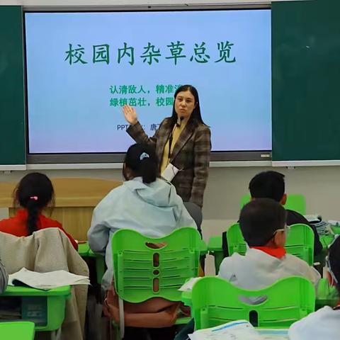🏆 三（3)智慧果中队——以劳增智，绿意满校园