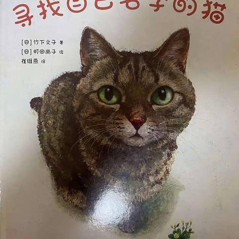 寻找自己名字的猫