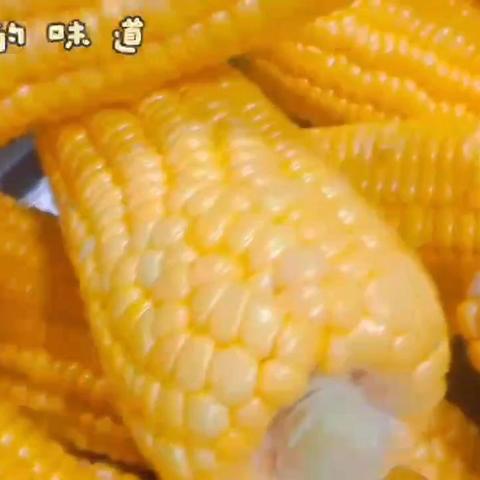 🌻未来之星——营养美食🌻