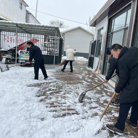 遥墙街道北柴村：共创冬日暖意，心手相牵清理行