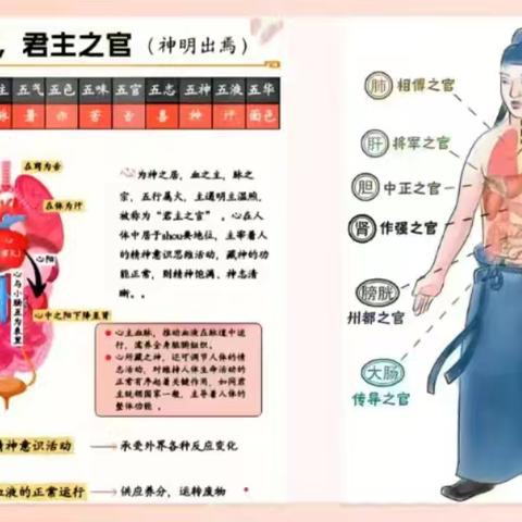 中医视角下的心脏健康与经络穴位科普