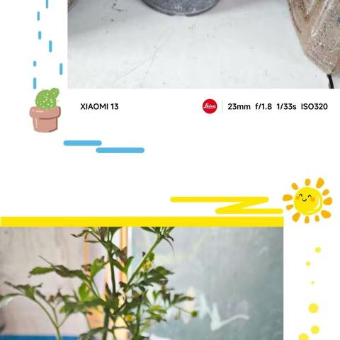 “绿色植物进班级 环境悠然小氧吧”    -----青石镇花桥小学开展班级盆栽劳动实践评比活动