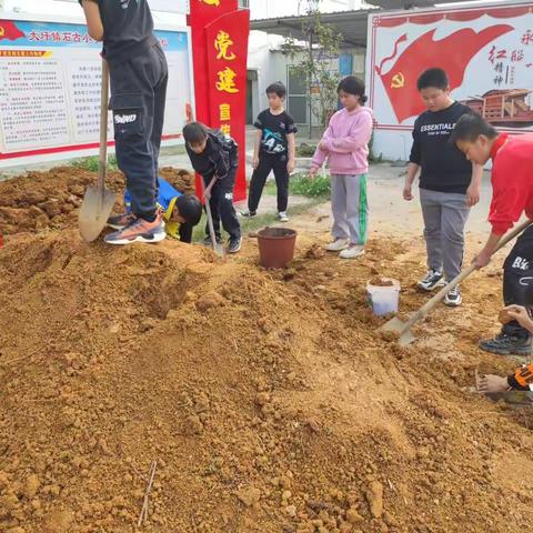 “我的地盘我做主” ——石古小学劳动教育实践基地名字征集令