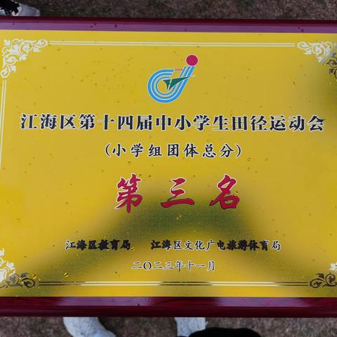 喜报！虹彩依旧，捷报频传——江南小学在市、区两级体育竞技中连获佳绩！