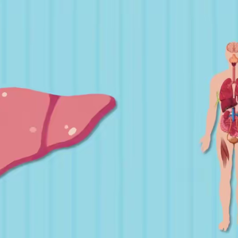 饶河县社区医院家庭医生提醒您：身体出现这些症状，可能是肝炎的预警信号！